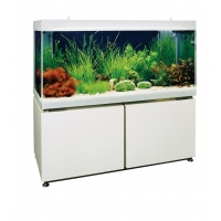 Aquarium Kombinationen