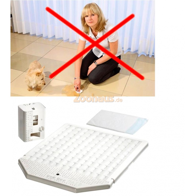 Hund Pinkelt In Die Wohnung Hund Pinkelt In Die Wohnung
