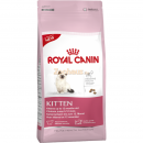 Royal-Canin Kitten 36