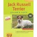 GU: Jack Russel Terrier, gesund & topfit