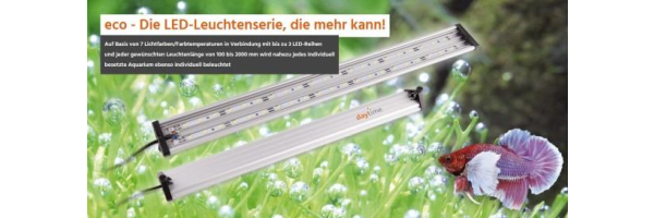 daytime LED Eco