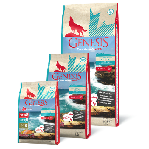 Genesis Pure Canada Dog - Blue Ocean für ausgewachsene Hunde