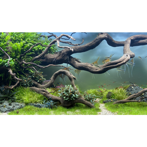 daytime cobra 7,5 Watt passend für Glasstärken bis 6mm inkl. Netzteil Cobra SunLike ultra (6.000 - 7.000 K)