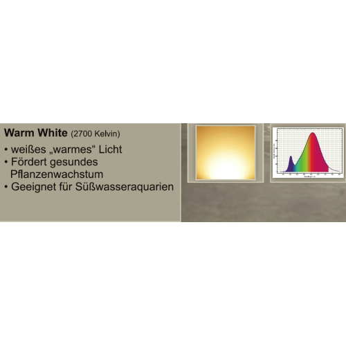 daytime LED Warm White (2.700 K)