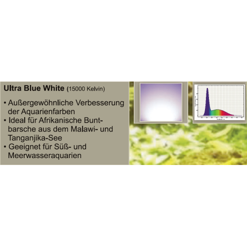 daytime LED Ultra Blue White (10.000K + Peak 465nm)