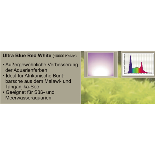 daytime LEDUltra Blue Red White (10.000K + Peak 465nm + Peak 650nm)
