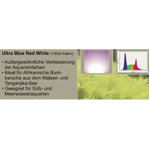 Ultra Blue Red White